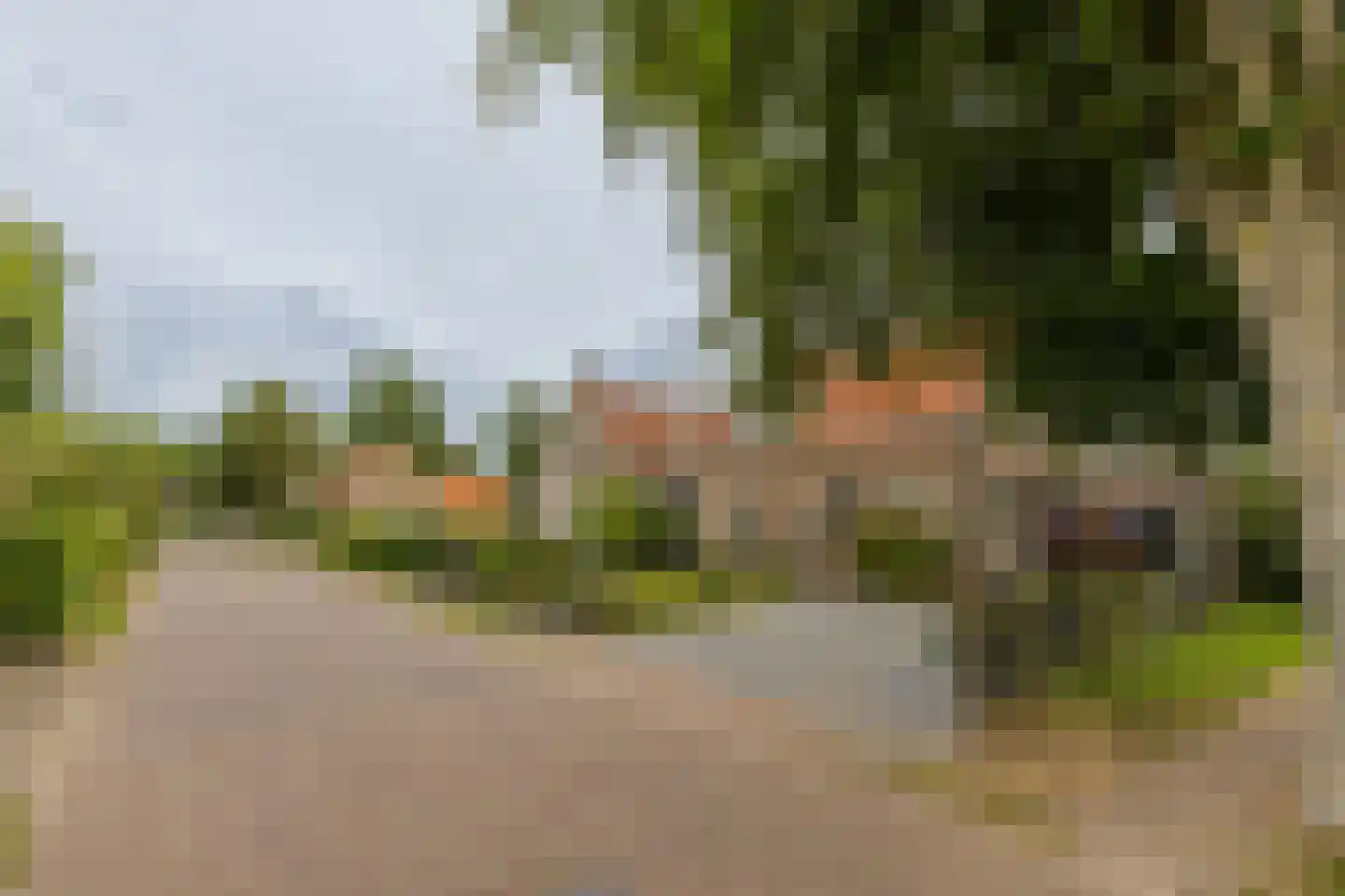 Kolkweg 5 Nes thumbnail 39