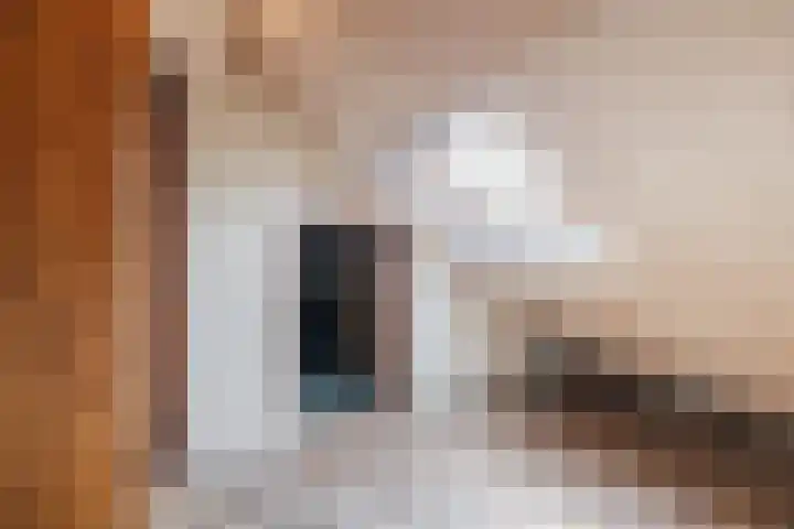 Kolkweg 6 Stuifzand thumbnail 44