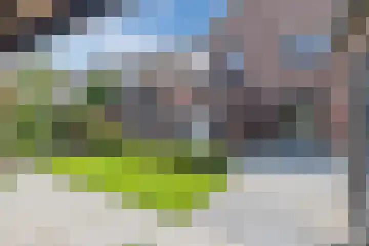 Kolkweg 6 Stuifzand thumbnail 52