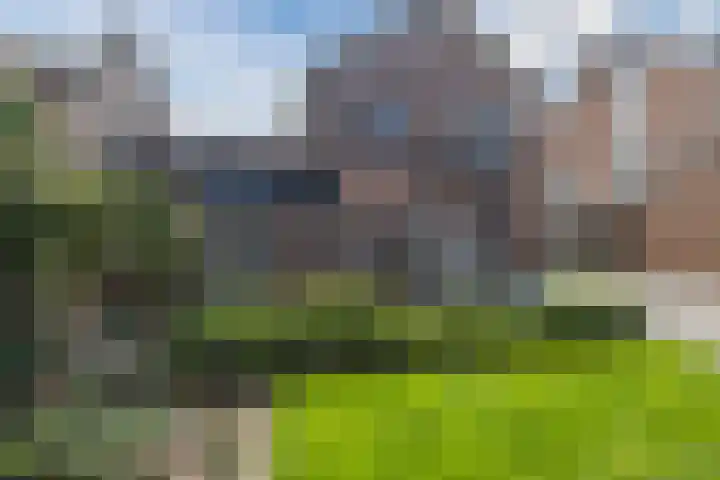 Kolkweg 6 Stuifzand thumbnail 54