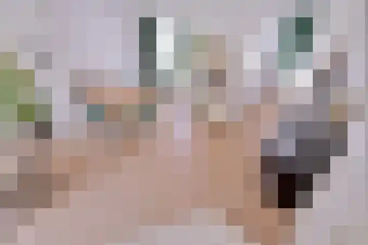 Kolkweg 65 Deventer thumbnail 14