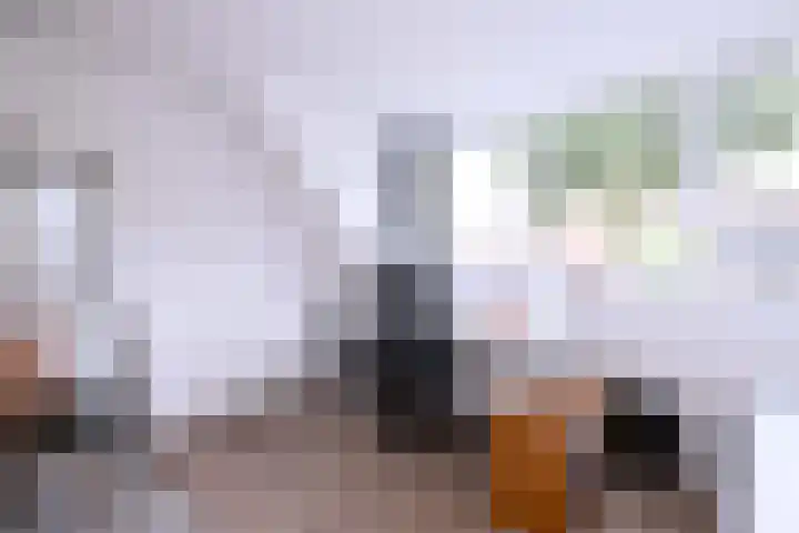 Kolkweg 65 Deventer thumbnail 21