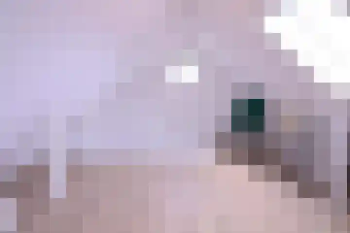 Kolkweg 65 Deventer thumbnail 24