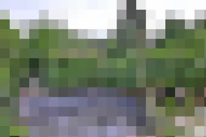 Kolkweg 65 Deventer thumbnail 30