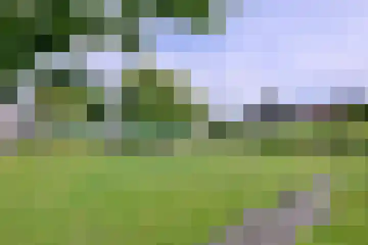 Kolkweg 65 Deventer thumbnail 34