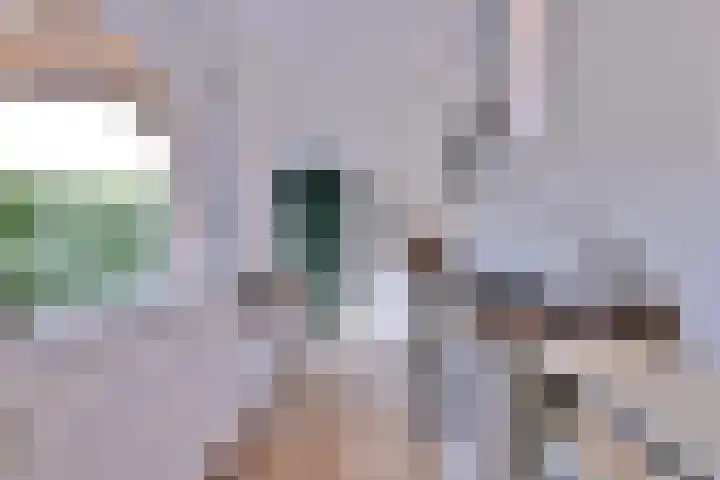 Kolkweg 65 Deventer thumbnail 8