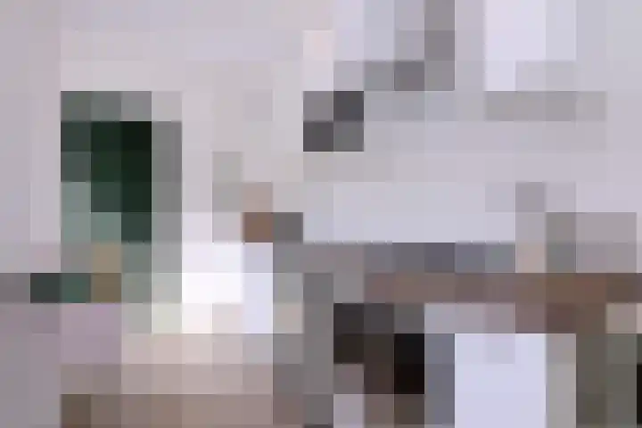 Kolkweg 65 Deventer thumbnail 9