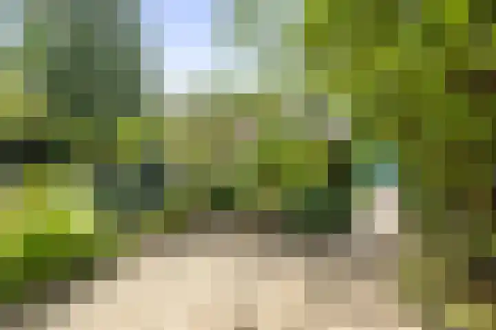Kolkweg 71 Deventer thumbnail 20
