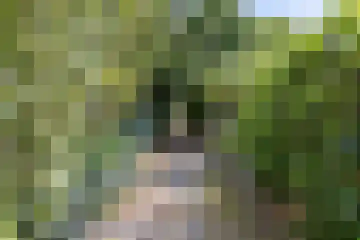 Kolkweg 71 Deventer thumbnail 22