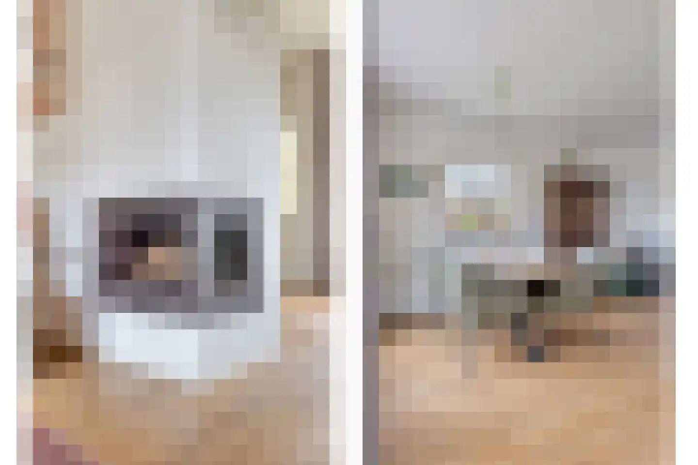 Kolkweiden 37 Wijhe thumbnail 10