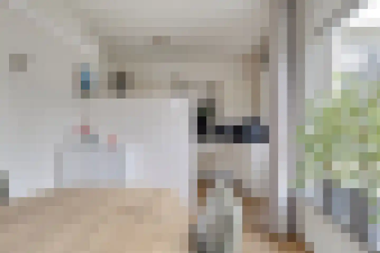 Kolkweiden 37 Wijhe thumbnail 11