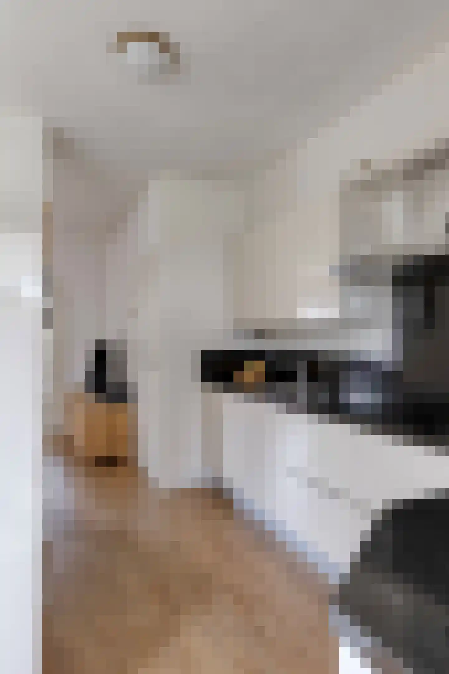Kolkweiden 37 Wijhe thumbnail 13