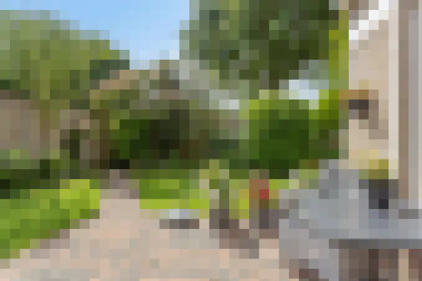 Kolkweiden 37 Wijhe thumbnail 31