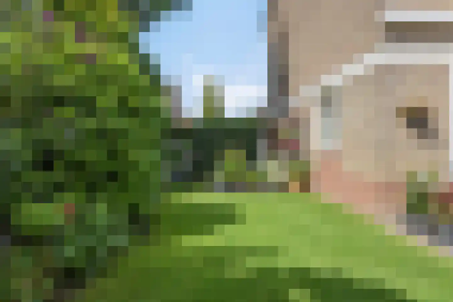 Kolkweiden 37 Wijhe thumbnail 33