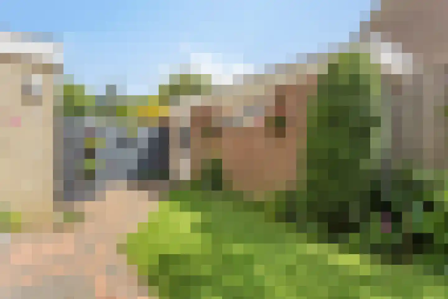 Kolkweiden 37 Wijhe thumbnail 34