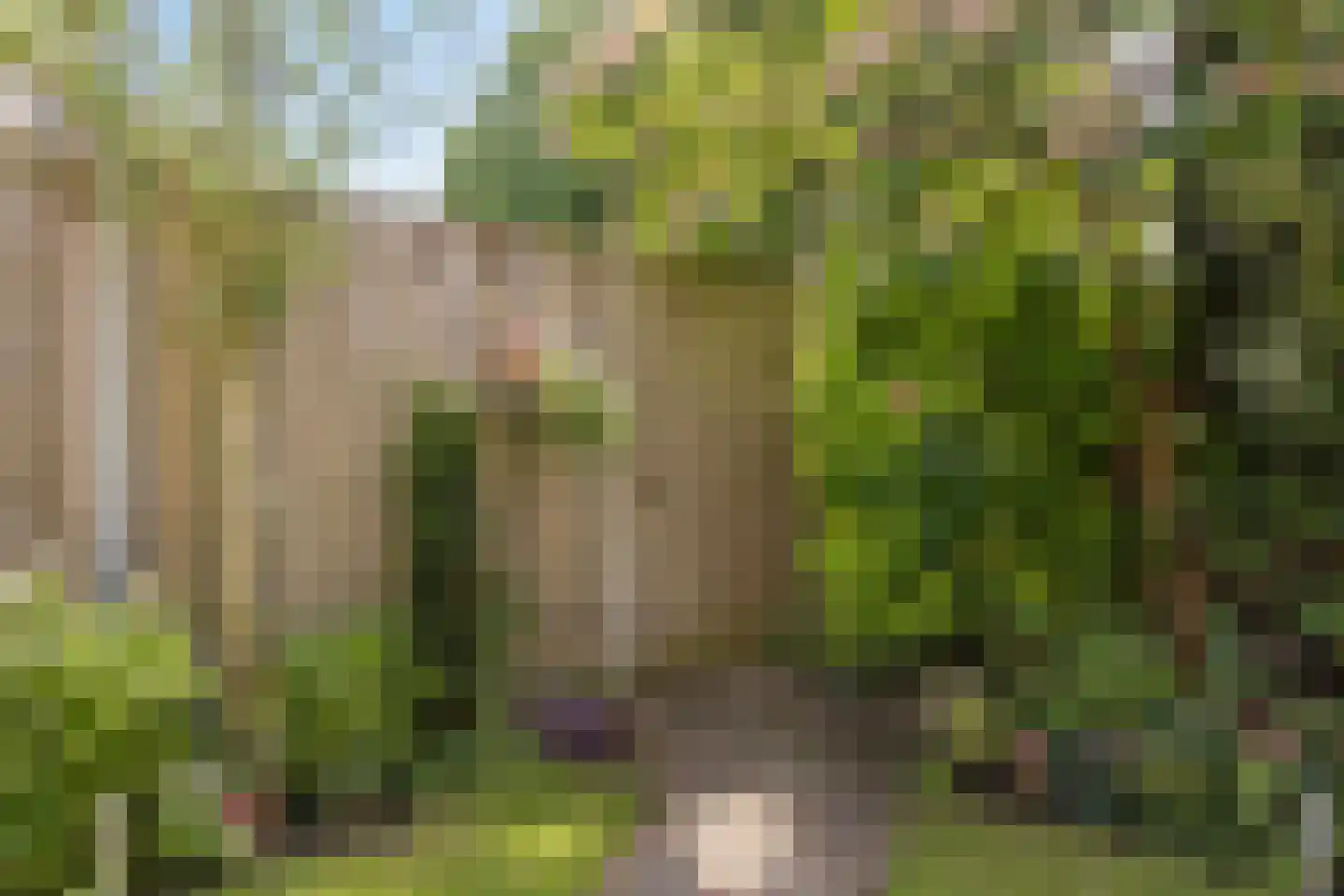 Kolkweiden 37 Wijhe thumbnail 35