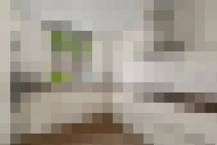 Kolland 19 Vleuten thumbnail 10