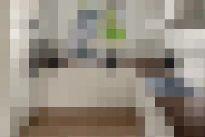 Kolland 19 Vleuten thumbnail 12
