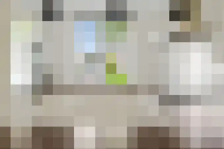 Kolland 19 Vleuten thumbnail 13