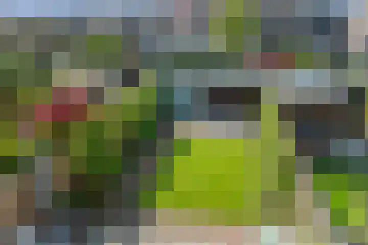 Kolland 19 Vleuten thumbnail 16