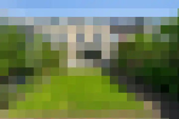 Kolland 19 Vleuten thumbnail 22