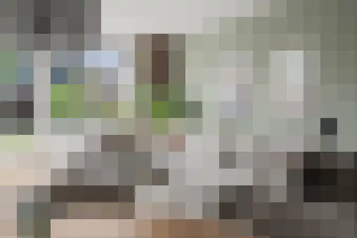 Kolland 19 Vleuten thumbnail 5