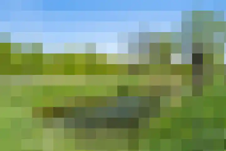 Kolland 19 Vleuten thumbnail 51