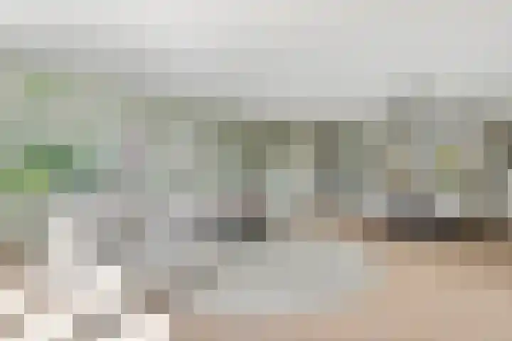 Kolland 19 Vleuten thumbnail 7