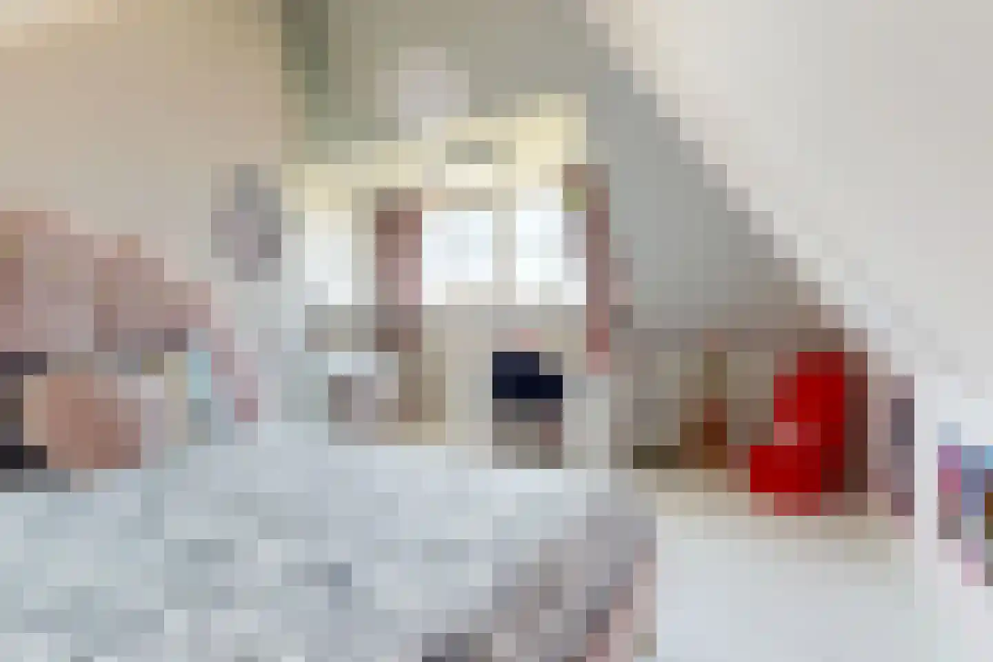 Kolland 43 Vleuten thumbnail 33