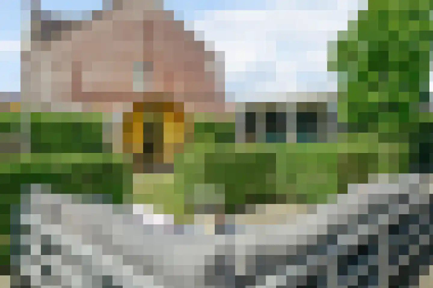 Kolland 43 Vleuten thumbnail 45