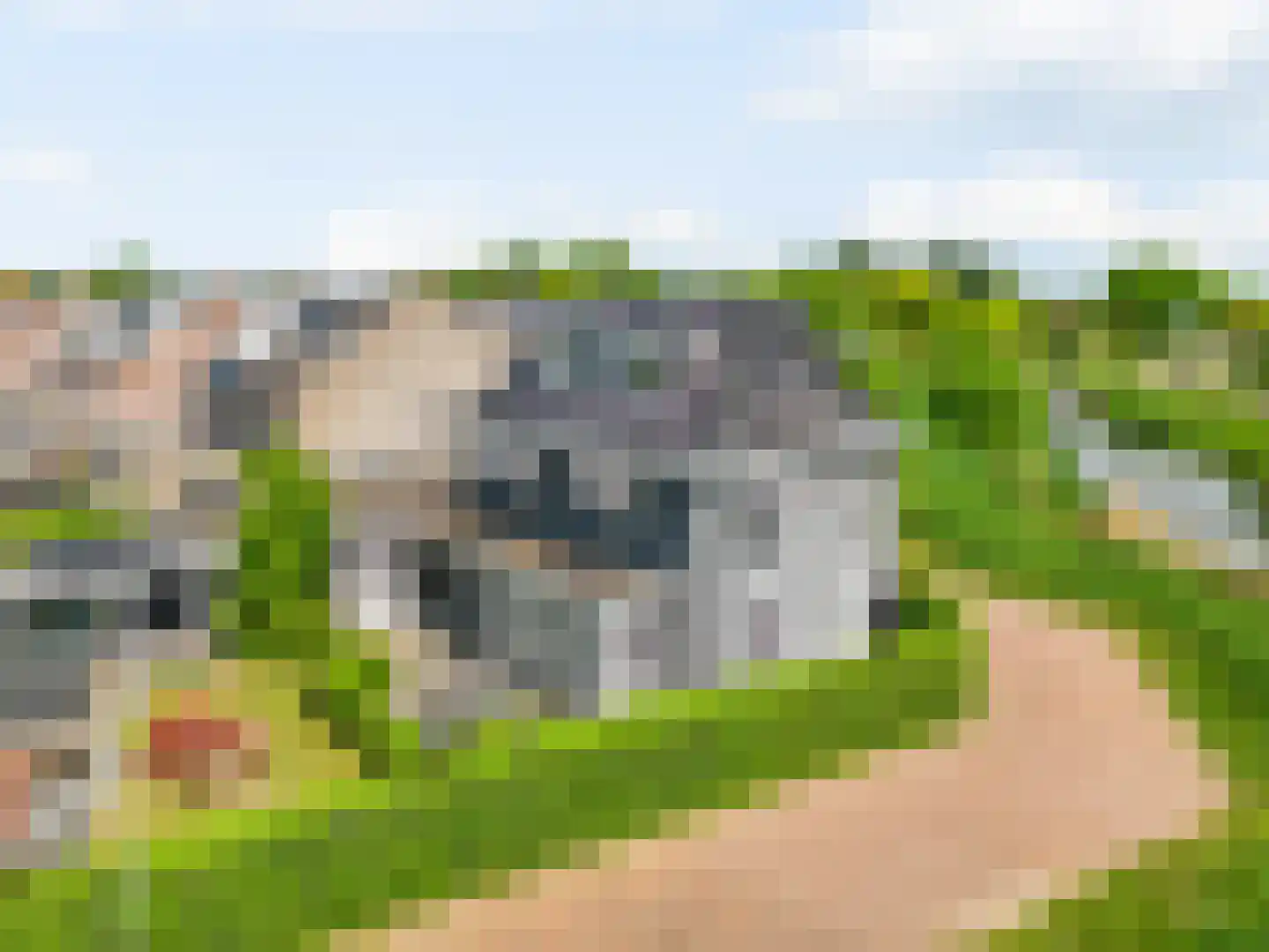 Kolland 43 Vleuten thumbnail 52