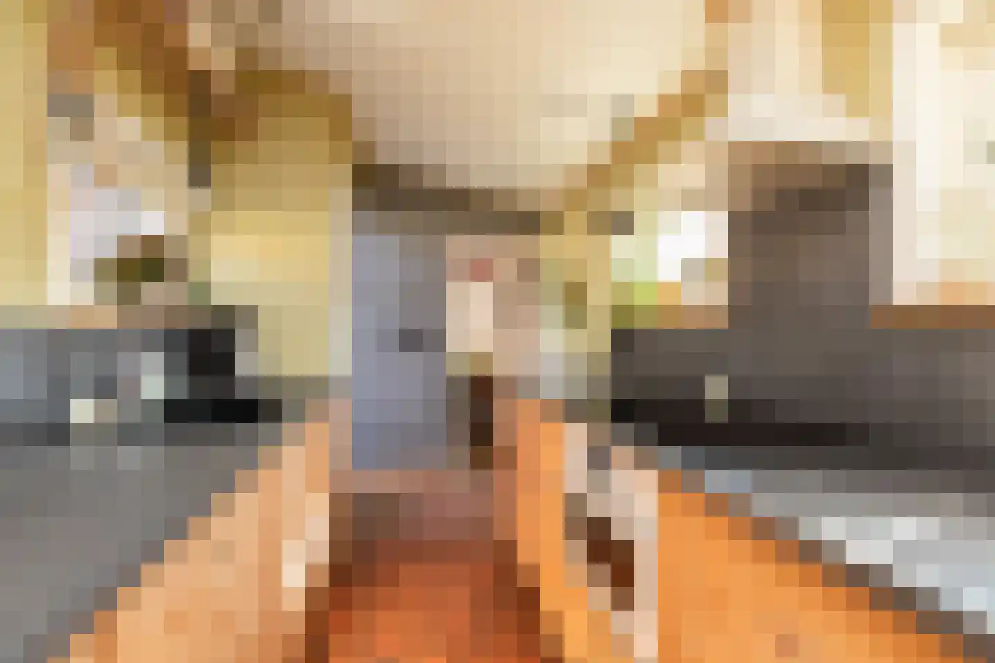 Kollegat 1 Woudsend thumbnail 11