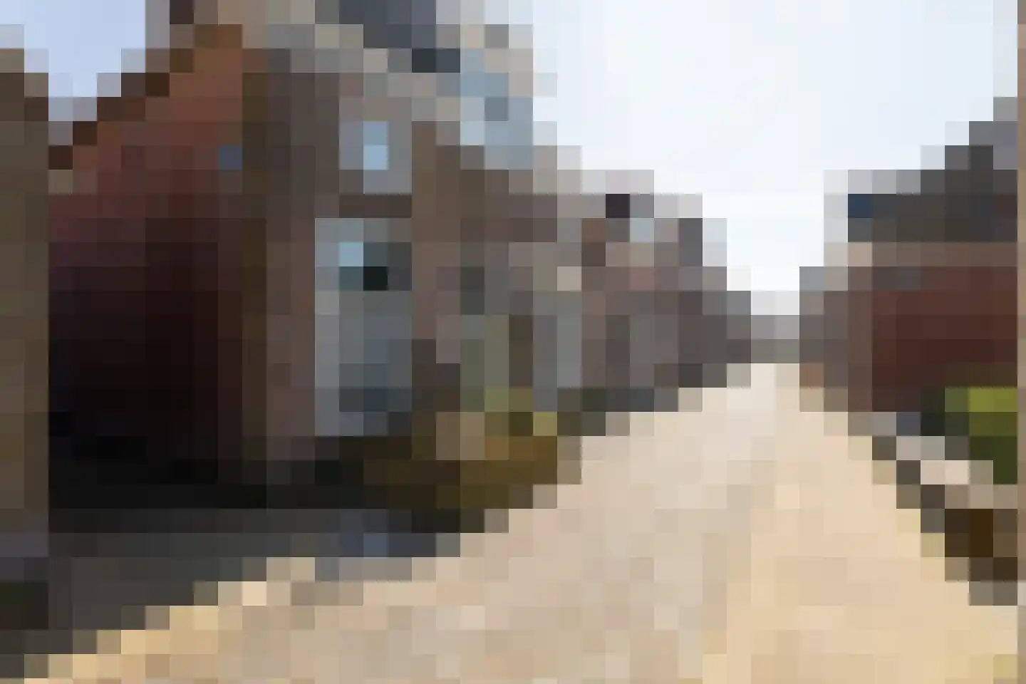 Kollegat 1 Woudsend thumbnail 32