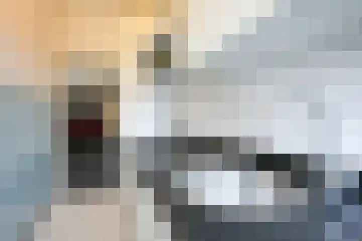 Kollenberg 1 F Sittard thumbnail 10