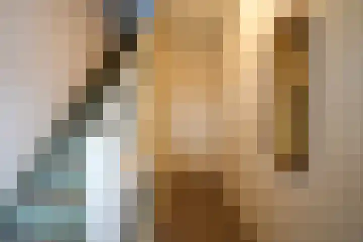 Kollenberg 1 F Sittard thumbnail 13