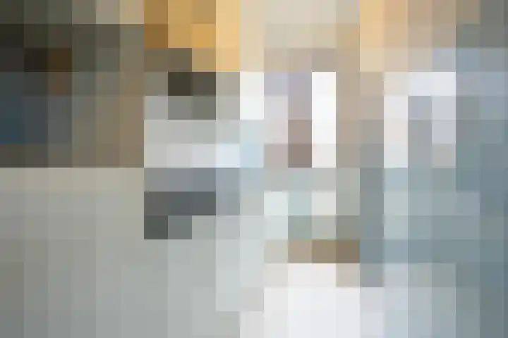 Kollenberg 1 F Sittard thumbnail 9