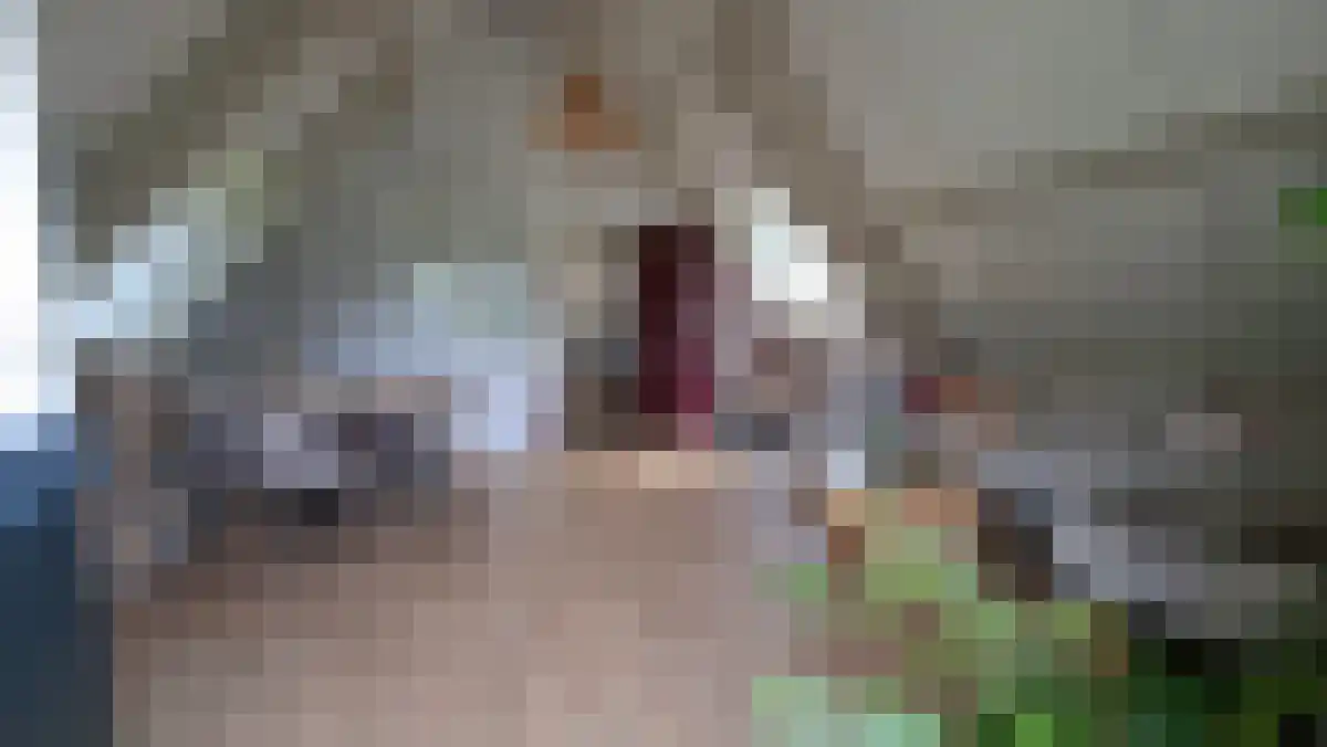 Kollenberg 3 Esch thumbnail 4