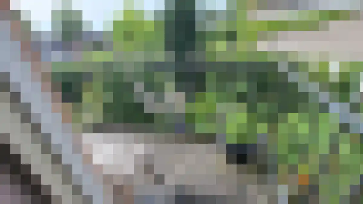 Kollenberg 3 Esch thumbnail 5