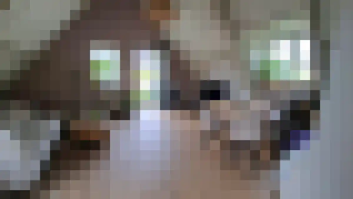 Kollenberg 3 Esch thumbnail 6