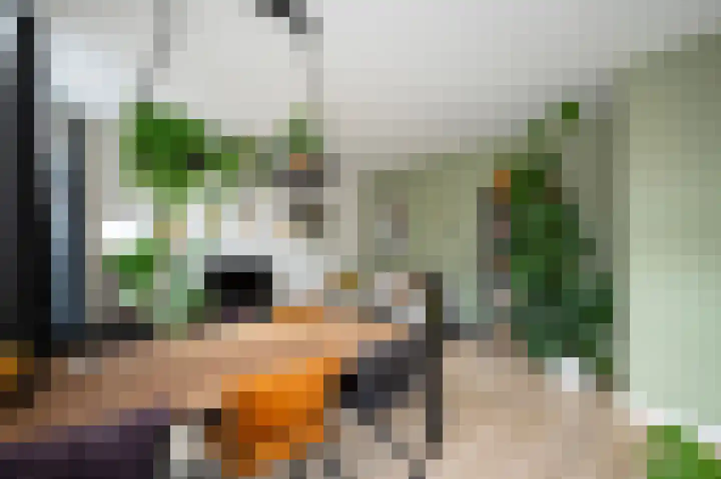 Kollenberg 40 Esch thumbnail 12