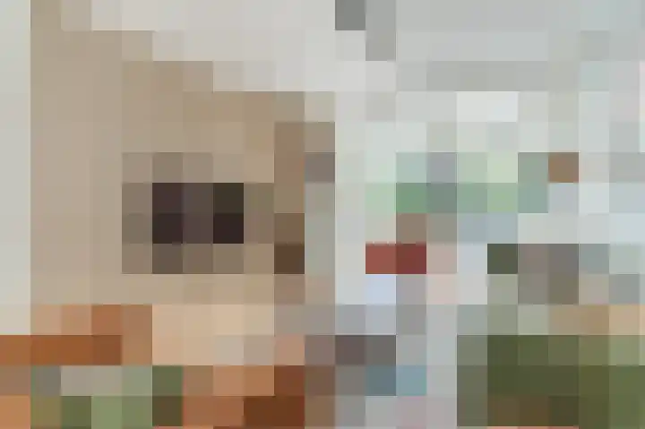 Kollenberg 40 Esch foto 2