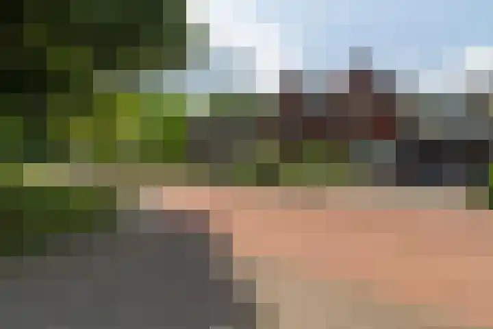 Kollenberg 40 Esch thumbnail 22