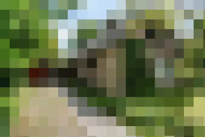 Kollenberg 40 Esch thumbnail 42