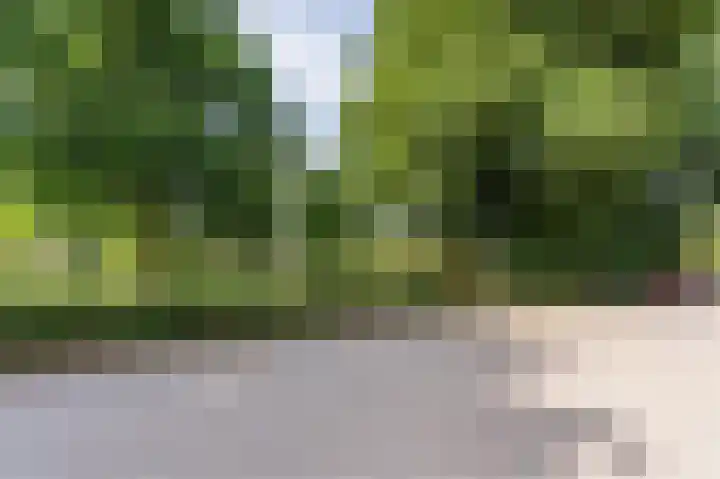 Kollenberg 40 Esch thumbnail 45