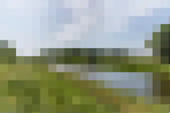 Kollenberg 40 Esch thumbnail 47