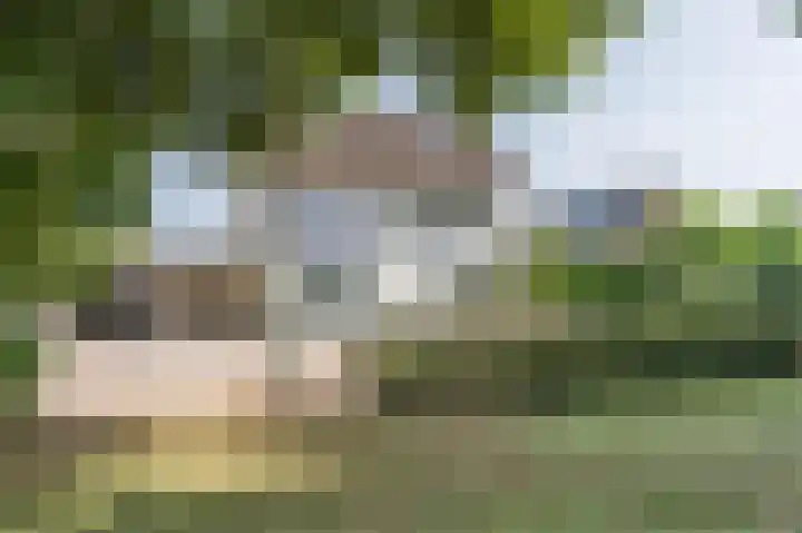 Kollenberg 40 Esch thumbnail 48