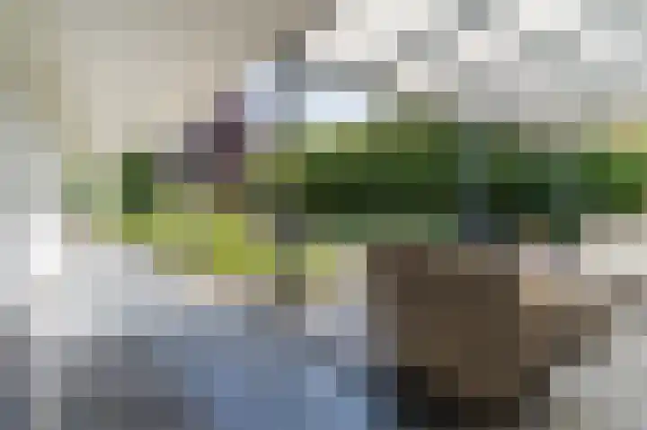 Kollenberg 40 Esch thumbnail 51