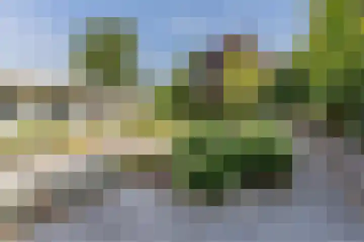 Kollenberg 40 Esch thumbnail 55