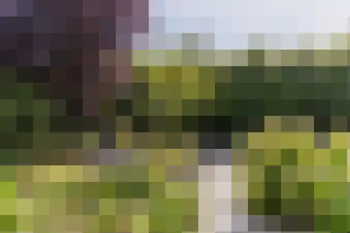 Kollenberg 40 Esch thumbnail 57