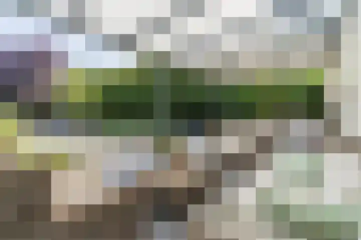Kollenberg 40 Esch thumbnail 7